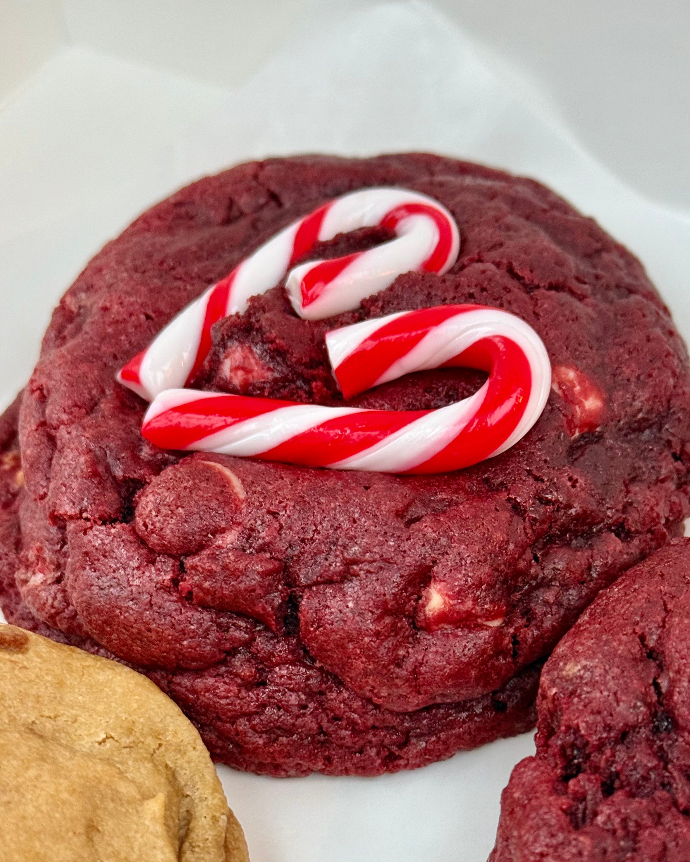 Christmas Cookie Box